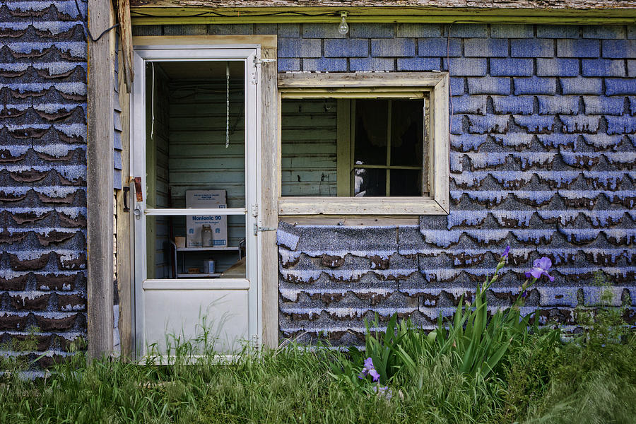 The Back Door - Abandoned Farmhouse Photograph by Nikolyn McDonald