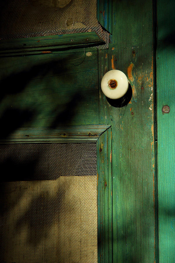 The Back Door Photograph by Michael Eingle