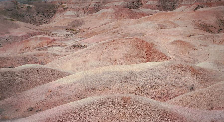 The Badlands Rolling Coral Dunes Photograph by Nadalyn Larsen
