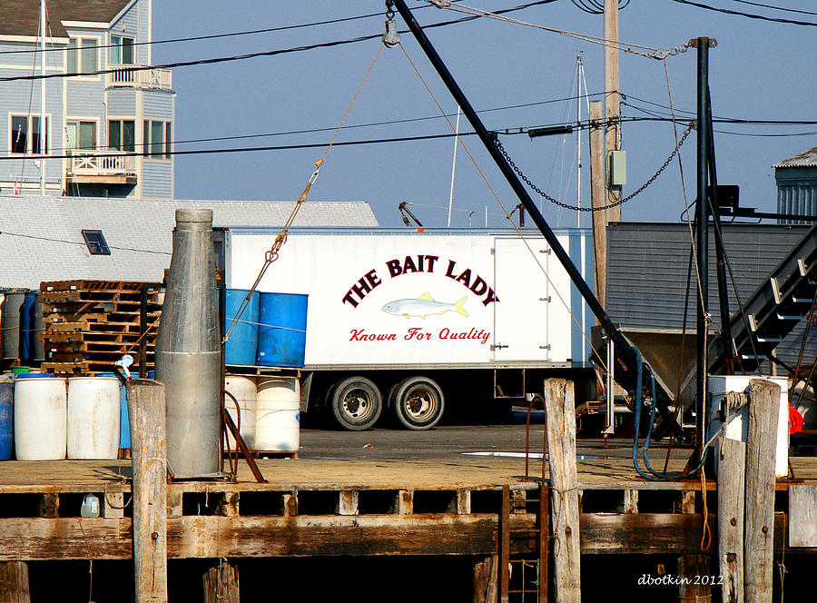 The Bait Lady Photograph by Dick Botkin