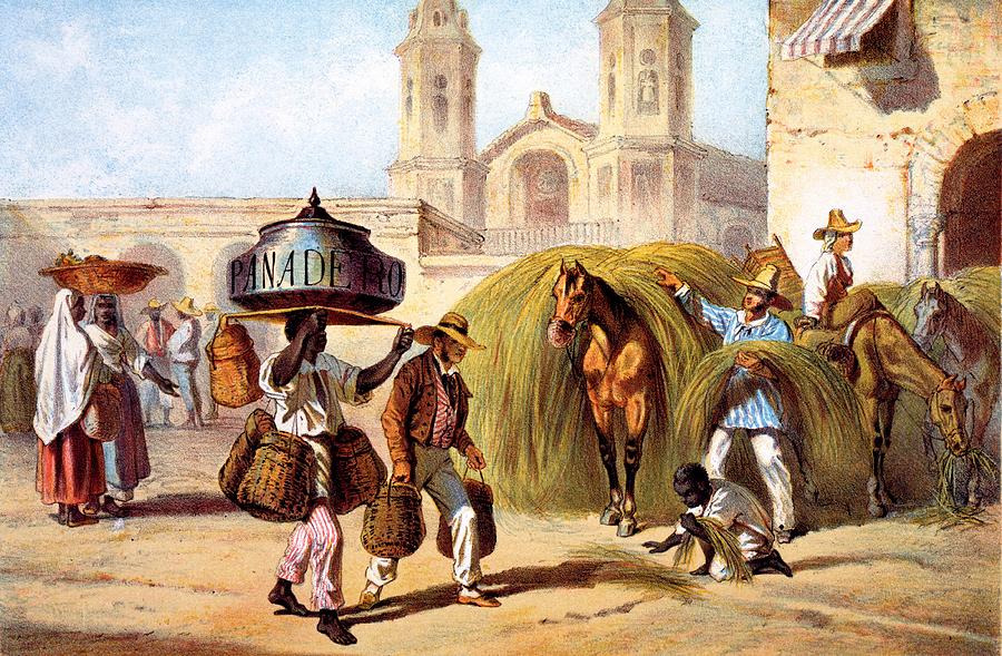 Horse Drawing - The Baker And The Straw Seller, 1840 by Federico Mialhe