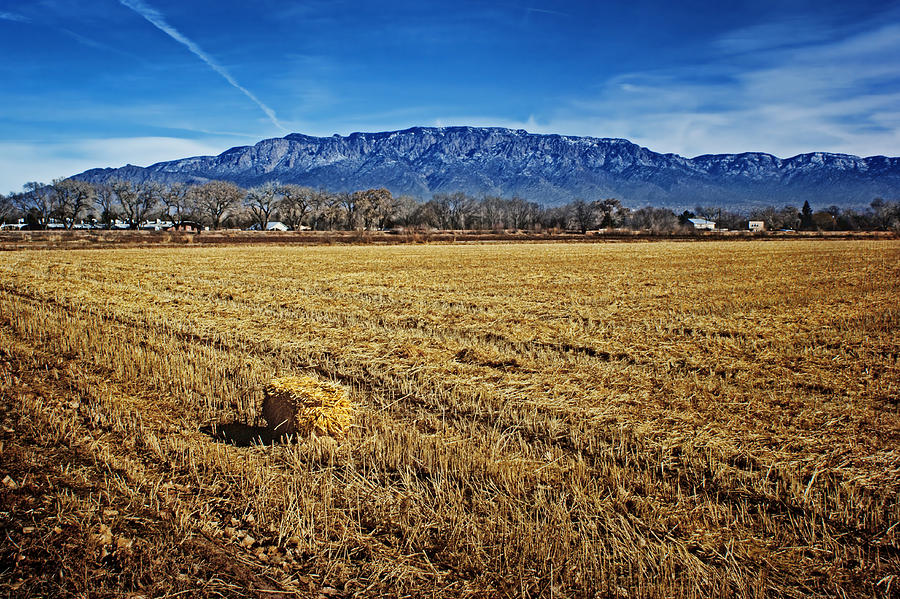 Albuquerque Photograph - The Bale - Sandia Mountains - Albuquerque by Nikolyn McDonald