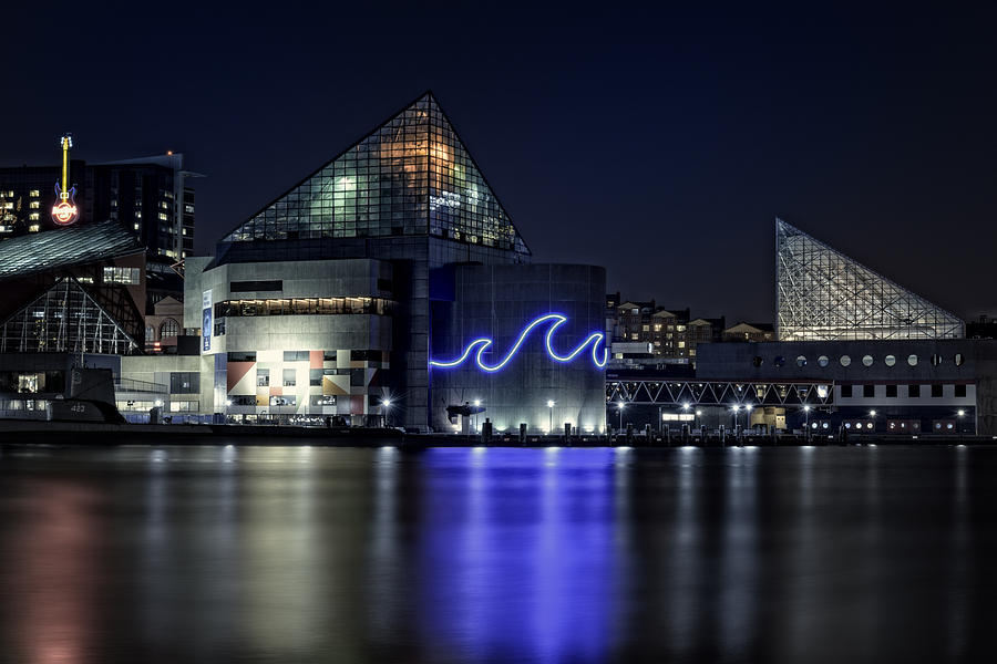 Baltimore Photograph - The Baltimore Aquarium by Rick Berk