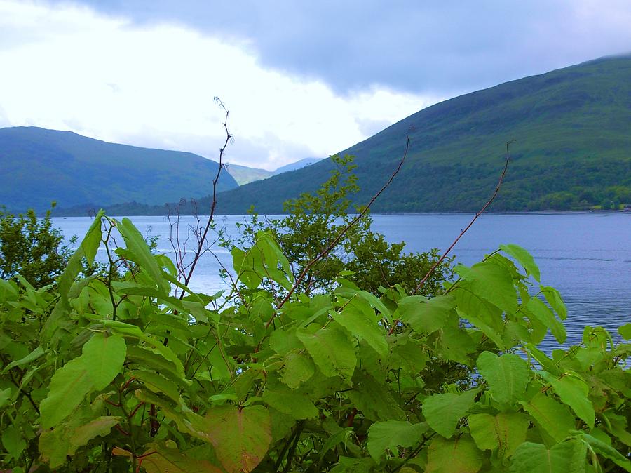 The Banks of Loch Linnhe Photograph by Joan-Violet Stretch
