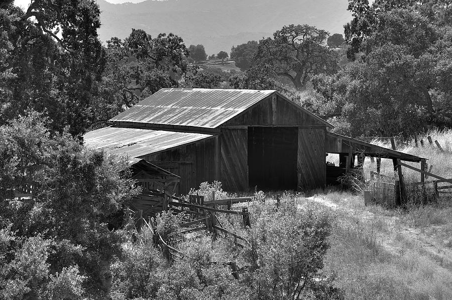 The Barn 2 Photograph by Richard J Cassato
