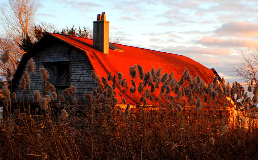 The Barn  At Sunset Photograph by Marysue Ryan