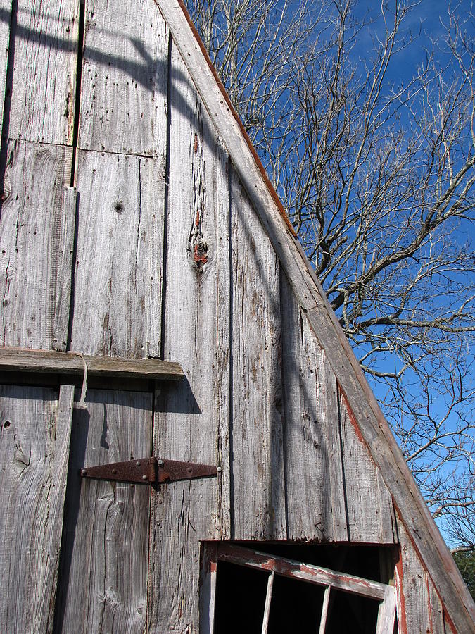The Barn Photograph by Beth Vincent