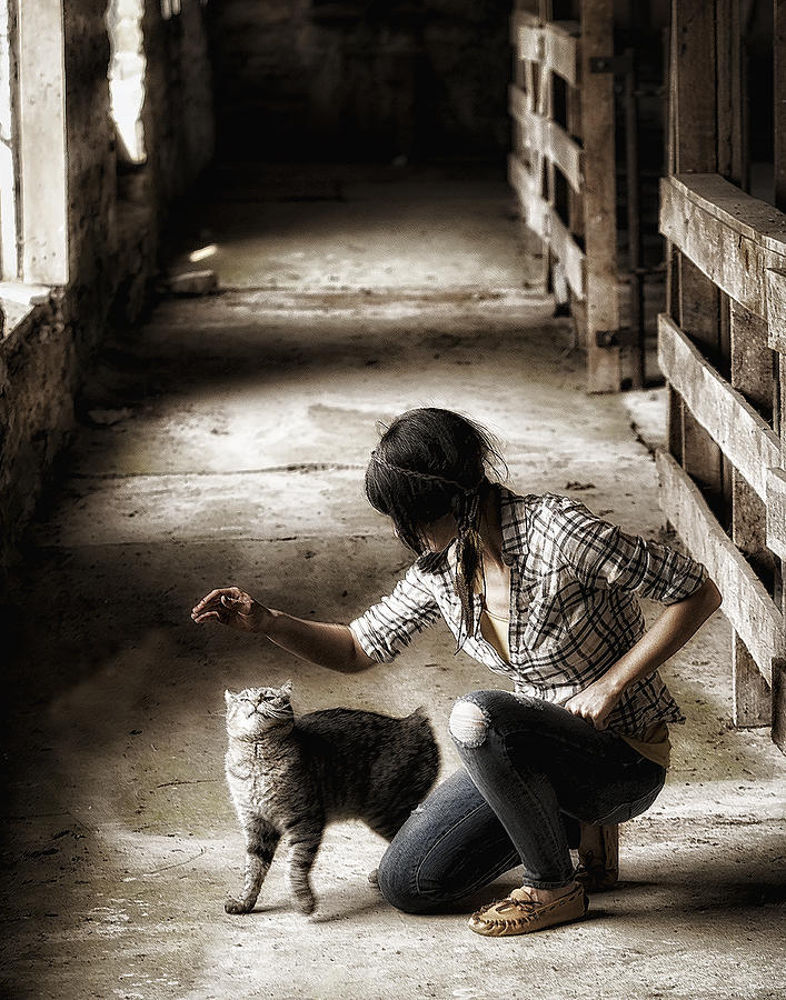 Rural Scene Photograph - The Barn Cat by Ron  McGinnis