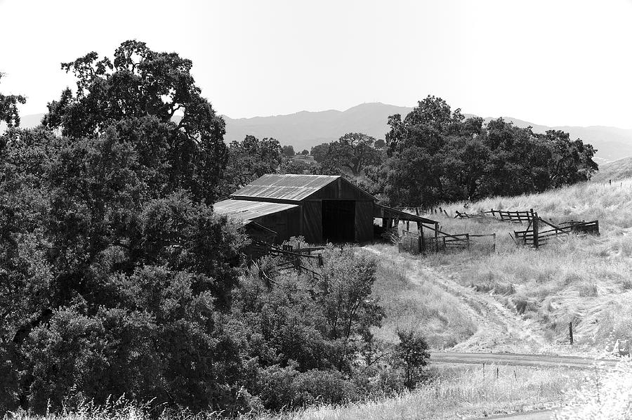 The Barn Photograph by Richard J Cassato