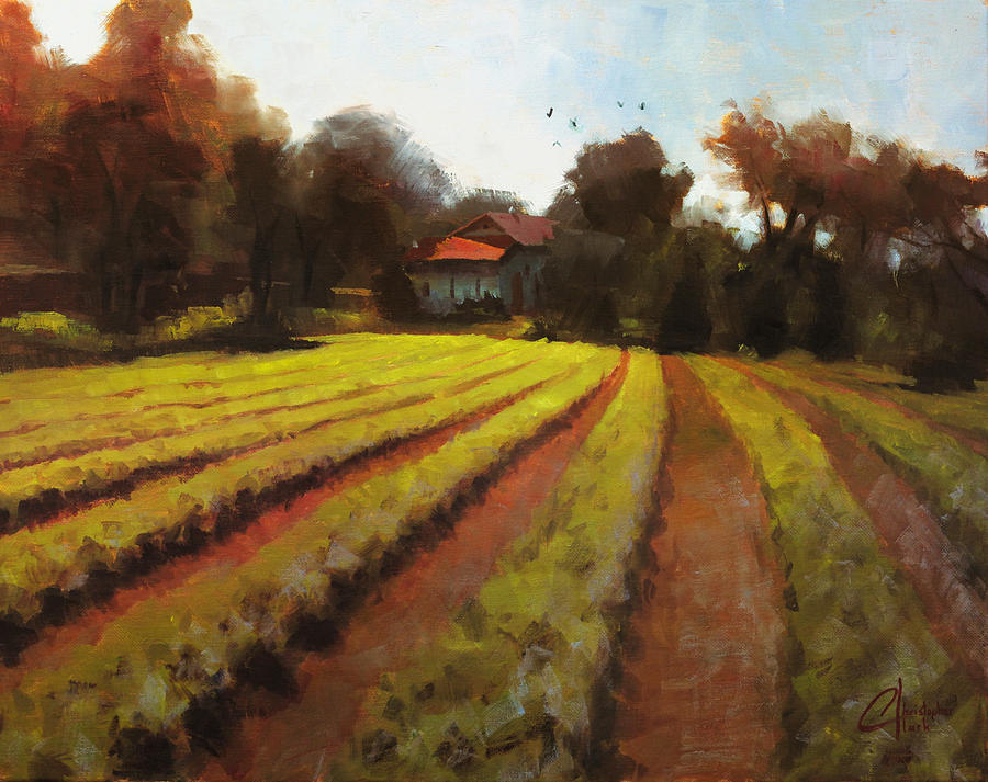 Christopher Painting - The Basil Farm by Christopher Clark