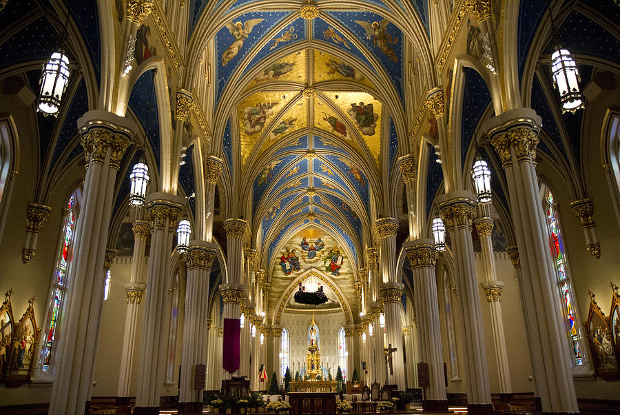 The Basilica of the Sacred Heart Photograph by Nathan Rupert