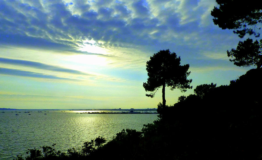 The Bay and the Monkey Evening Hill Poole Dorset Photograph by Gordon James