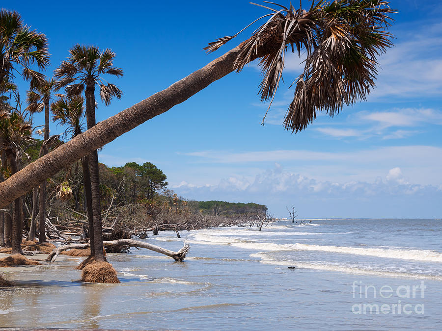 The beach at Hunting Island State Park Photograph by Louise Heusinkveld