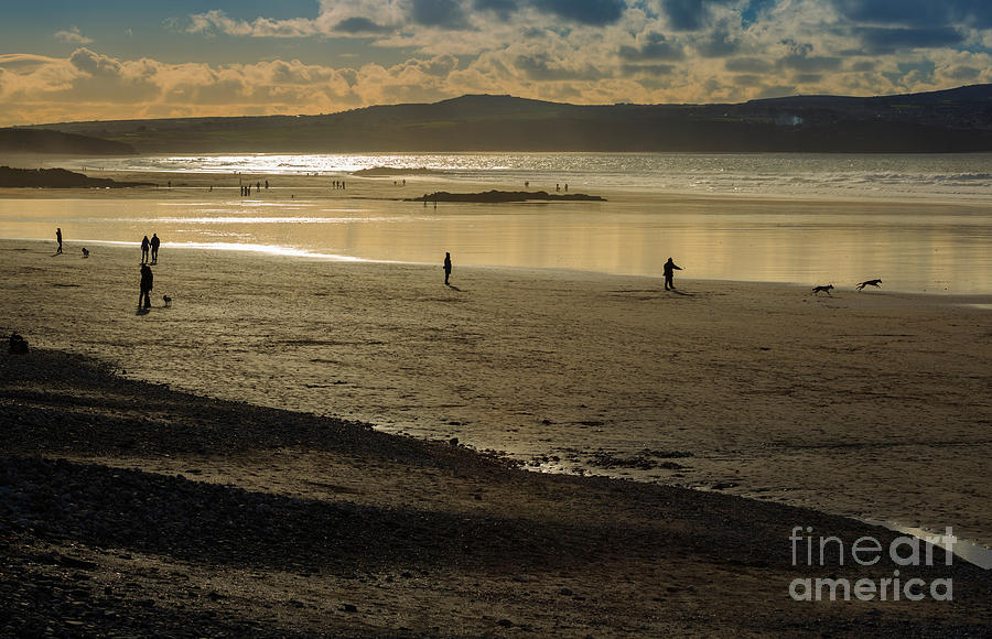 Dog Photograph - The Beach at Mounts Bay by Louise Heusinkveld