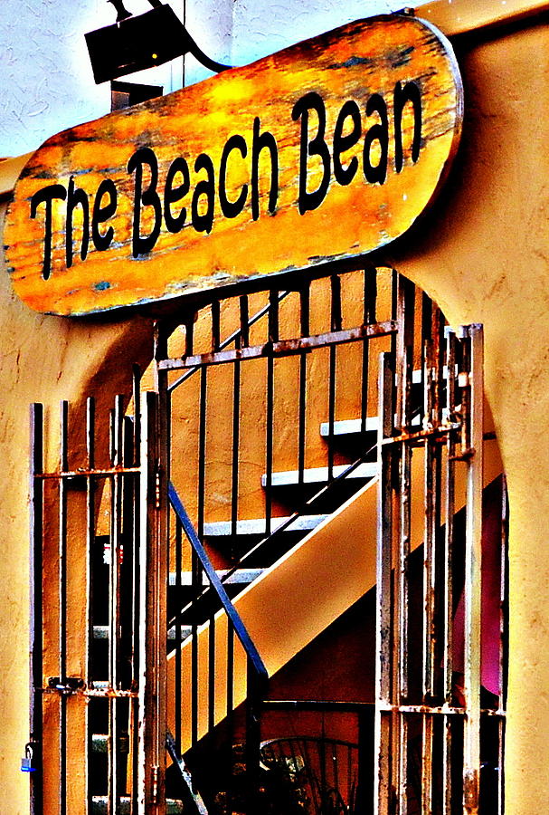 The Beach Bean Photograph by Antonia Citrino