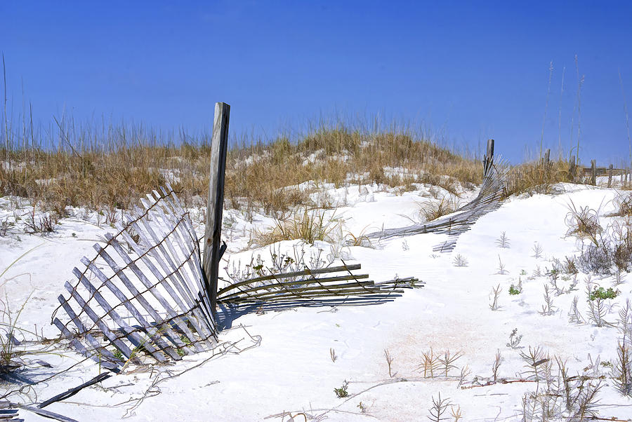The Beach in Anastasia State Park Photograph by Betty Eich
