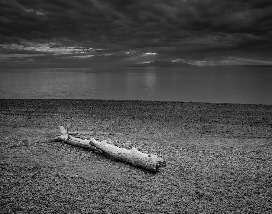 The Beach in Black and White Photograph by Andrew Matwijec
