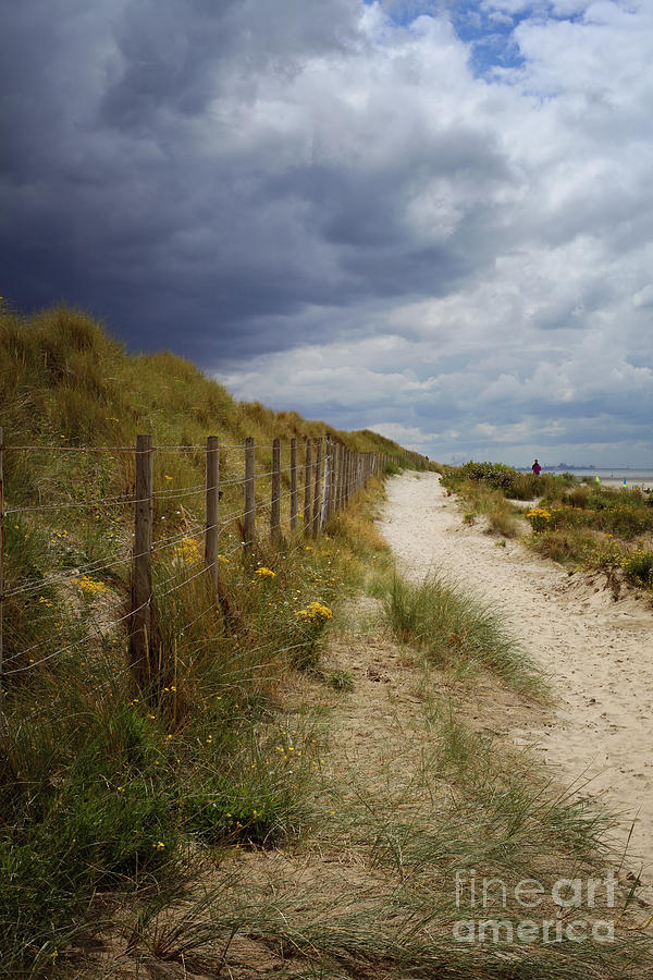The Beach Path Photograph