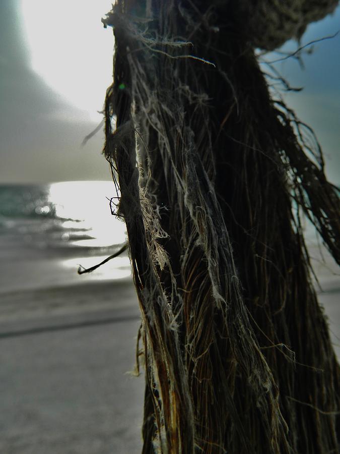 Rope Photograph - The Beach by Tara Miller