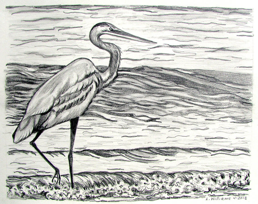 The Beachcomber Drawing by Linda Williams