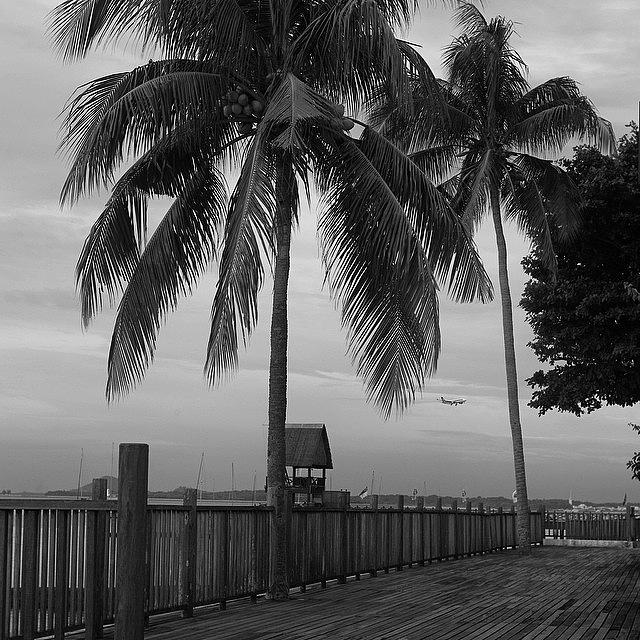 Beach Photograph - The Beachfront In Singapore - Went For by Aleck Cartwright