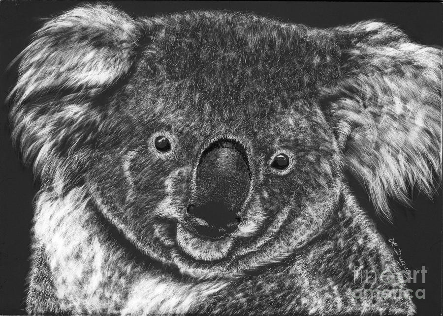 Black And White Drawing - The Bear from Down Under by Lora Duguay