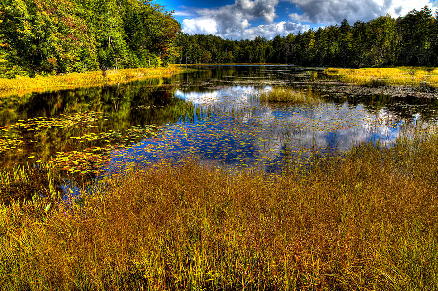 The Beautiful Fly Pond Near Old Forge New York Photograph by David Patterson