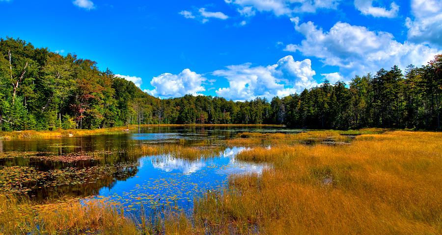 The Beautiful Fly Pond - Old Forge NY Photograph by David Patterson