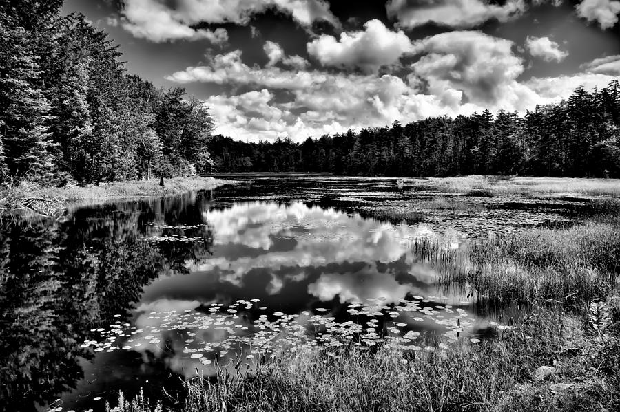 The Beautiful Fly Pond on Rondaxe Road - Old Forge NY Photograph by David Patterson