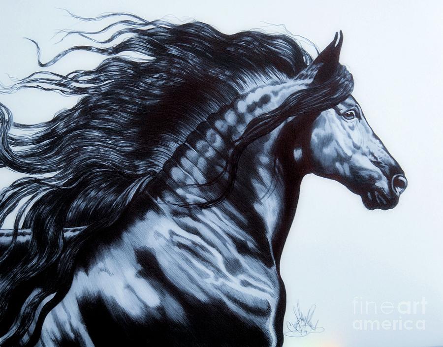 Horse Drawing - Frederik the Great - Beautiful Friesian   by Cheryl Poland