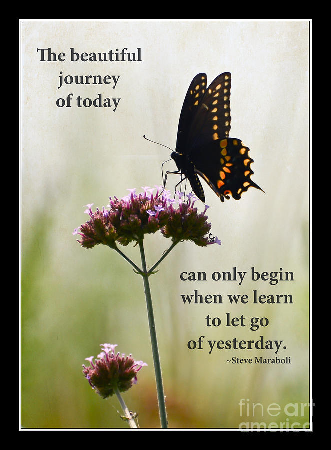 Butterfly Photograph - The Beautiful Journey Of Today by Kerri Farley