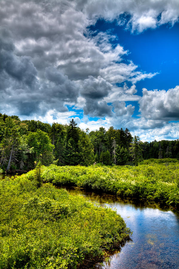 The Beautiful Moose River Photograph by David Patterson Fine Art America