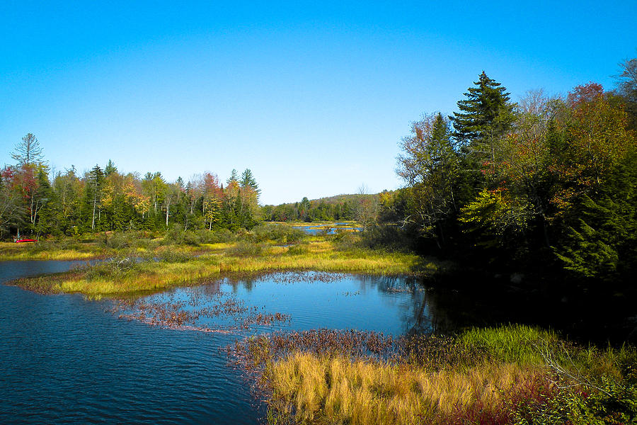 Fall Photograph - The Beautiful Moose River in Old Forge New York by David Patterson