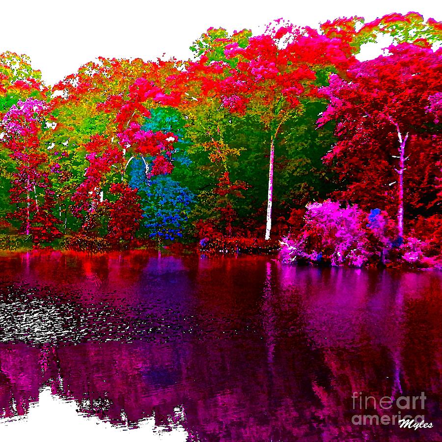 The Beautiful Trees by The Lake Photograph by Saundra Myles