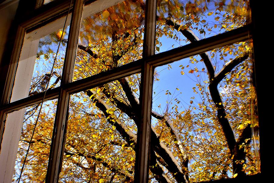 The Beautiful Window Photograph by Marysue Ryan