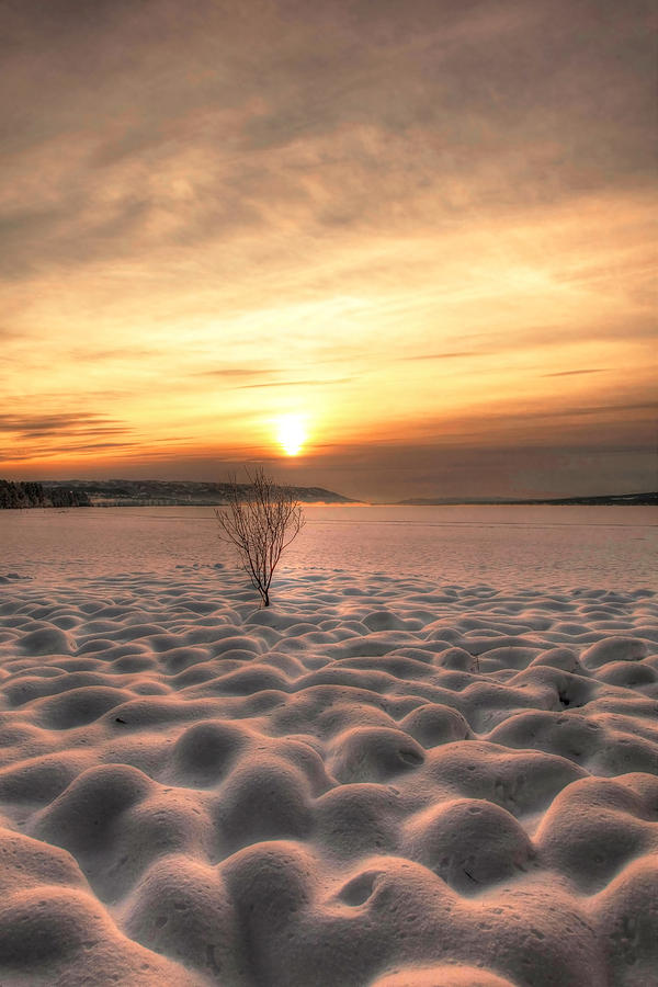 The beautiful winter evening Photograph by Thomas Berger - Fine Art America