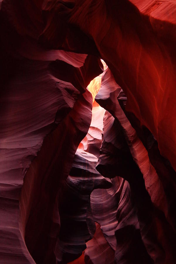 Antelope Canyon Photograph - The Beauty Of Antelope Canyon by Jeff Swan