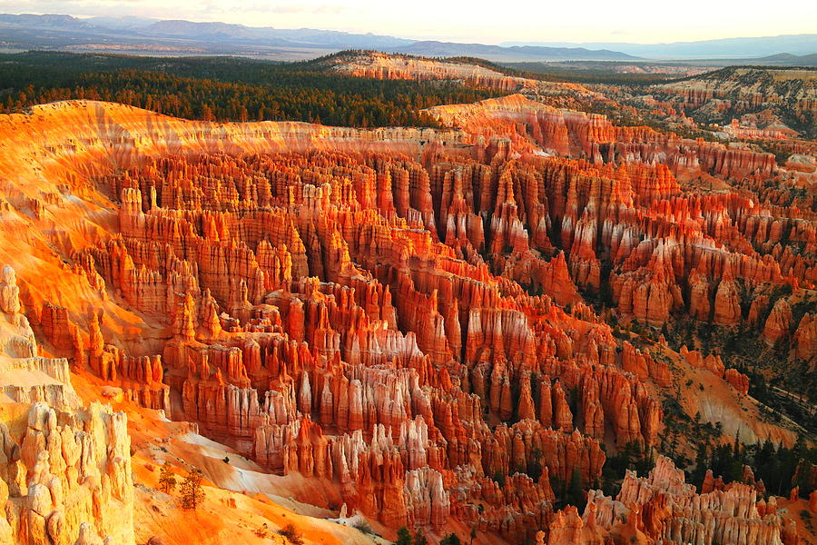 The Beauty Of Bryce Canyon In The Morning Photograph