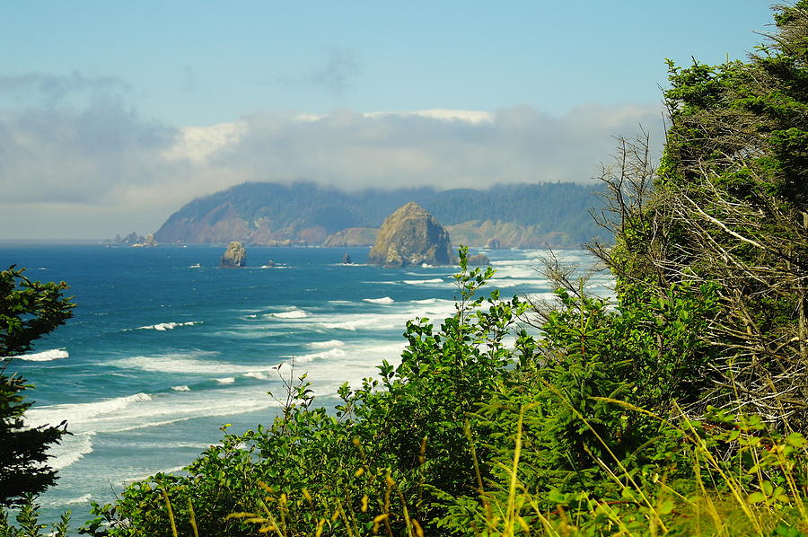 The Beauty Of The Oregon Coast Photograph by Jeff Swan
