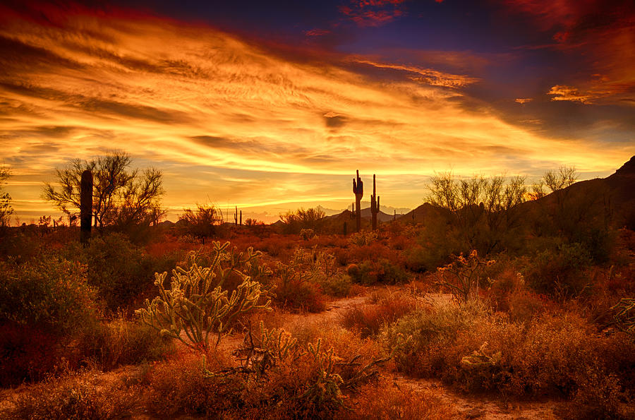 The Beauty of the Sonoran Skies Photograph by Saija Lehtonen - Fine Art ...