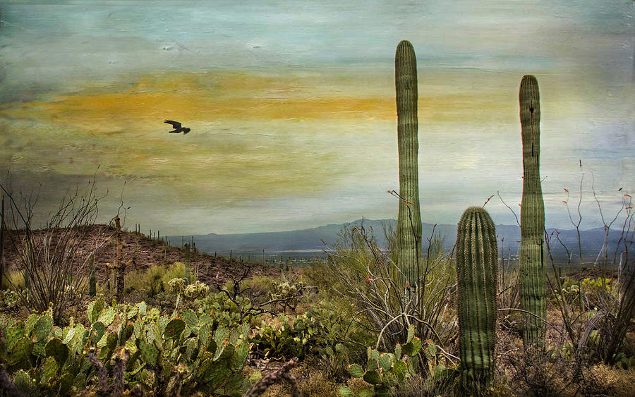The Beauty of the Southwest Photograph by Barbara Manis