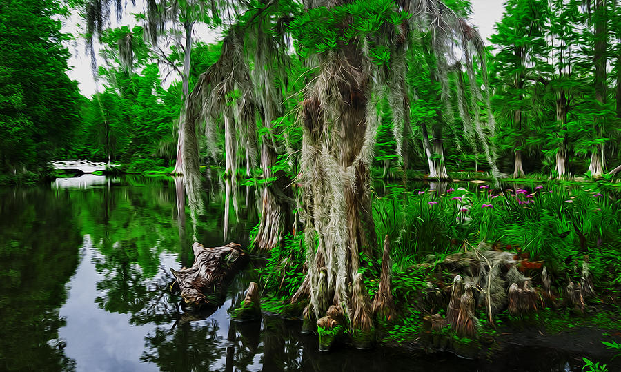 The Beauty of the Swamp Photograph by Ryan Manuel