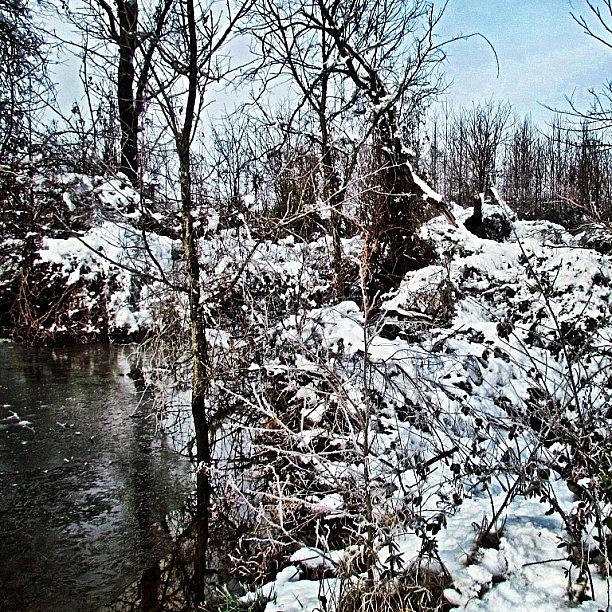 Winter Photograph - The Beaver Pond On Christmas 2012 by Roger Snook