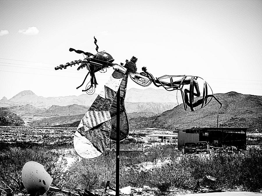 The Bee in Terlingua Ghost Town Photograph by Rebecca Dru