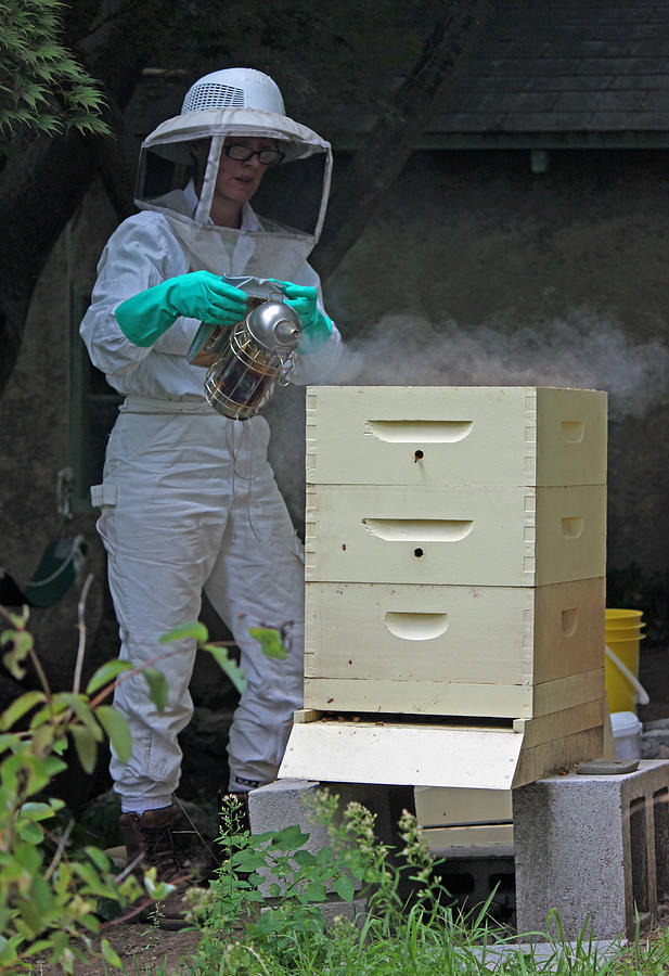 Nature Photograph - The Beekeeper I by Suzanne Gaff