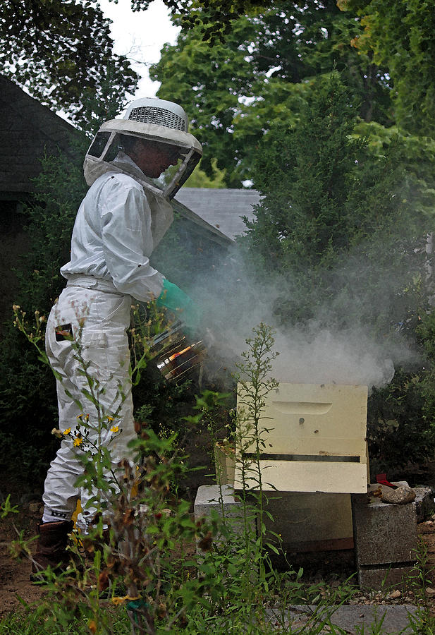 The Beekeeper IIi In Watercolor Photograph