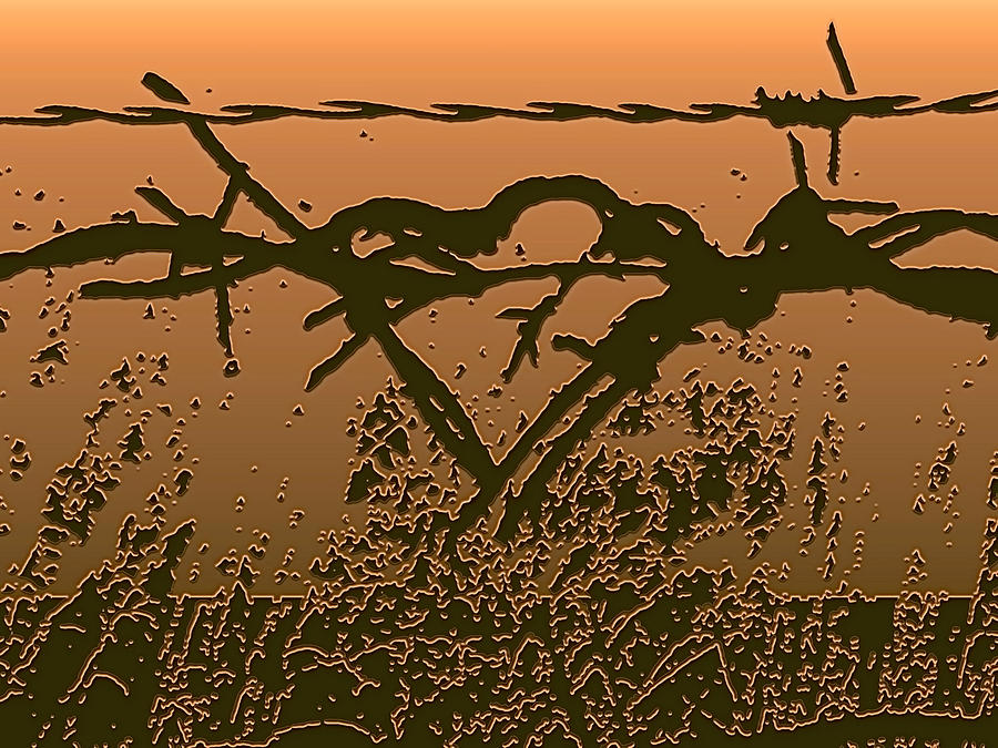 Barb Photograph - The Beginnings - Barbed Wire Series by Lesa Fine