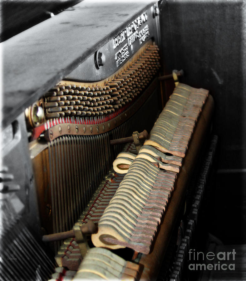 Music Photograph - The Behr Brothers Piano by Steven Digman