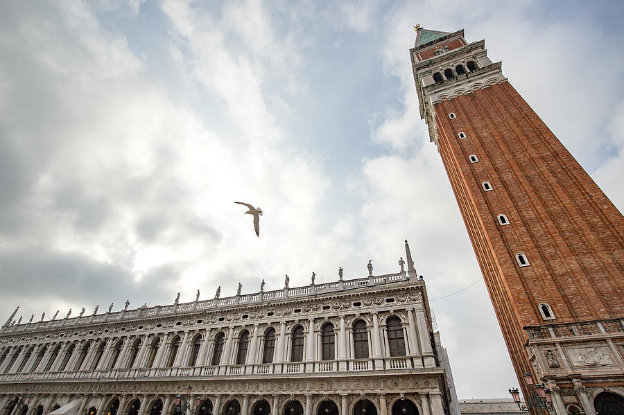 The Bell Tower of St Marks Basilica in Venice, Italy Photograph by Daisuke Kishi