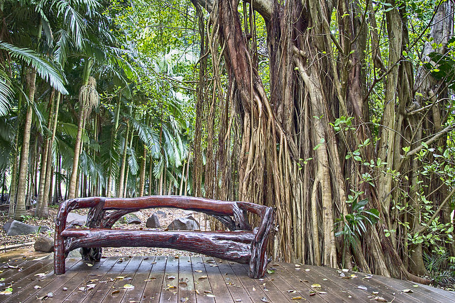 The Bench at the Botanical Gardens Photograph by Douglas Barnard